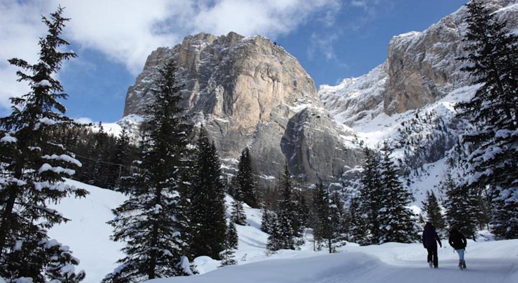 Hotel Meisules Selva di Val Gardena Eksteriør bilde