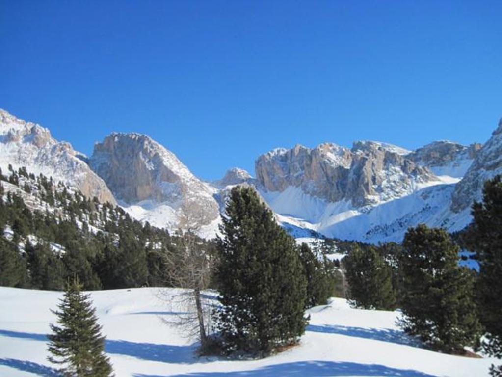 Hotel Meisules Selva di Val Gardena Eksteriør bilde