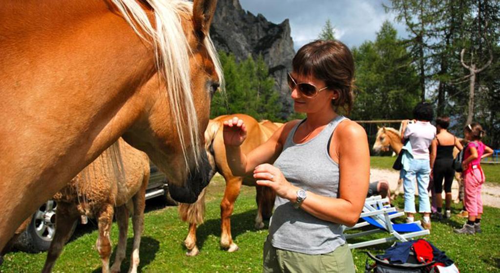 Hotel Meisules Selva di Val Gardena Eksteriør bilde